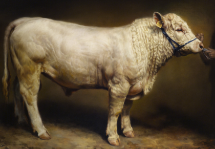 Jaco van Schalkwyk