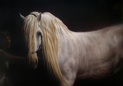 Percheron-Study I