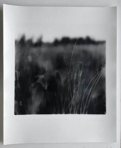 Grass next to N1 ll