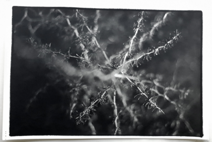 3. Editioned prints